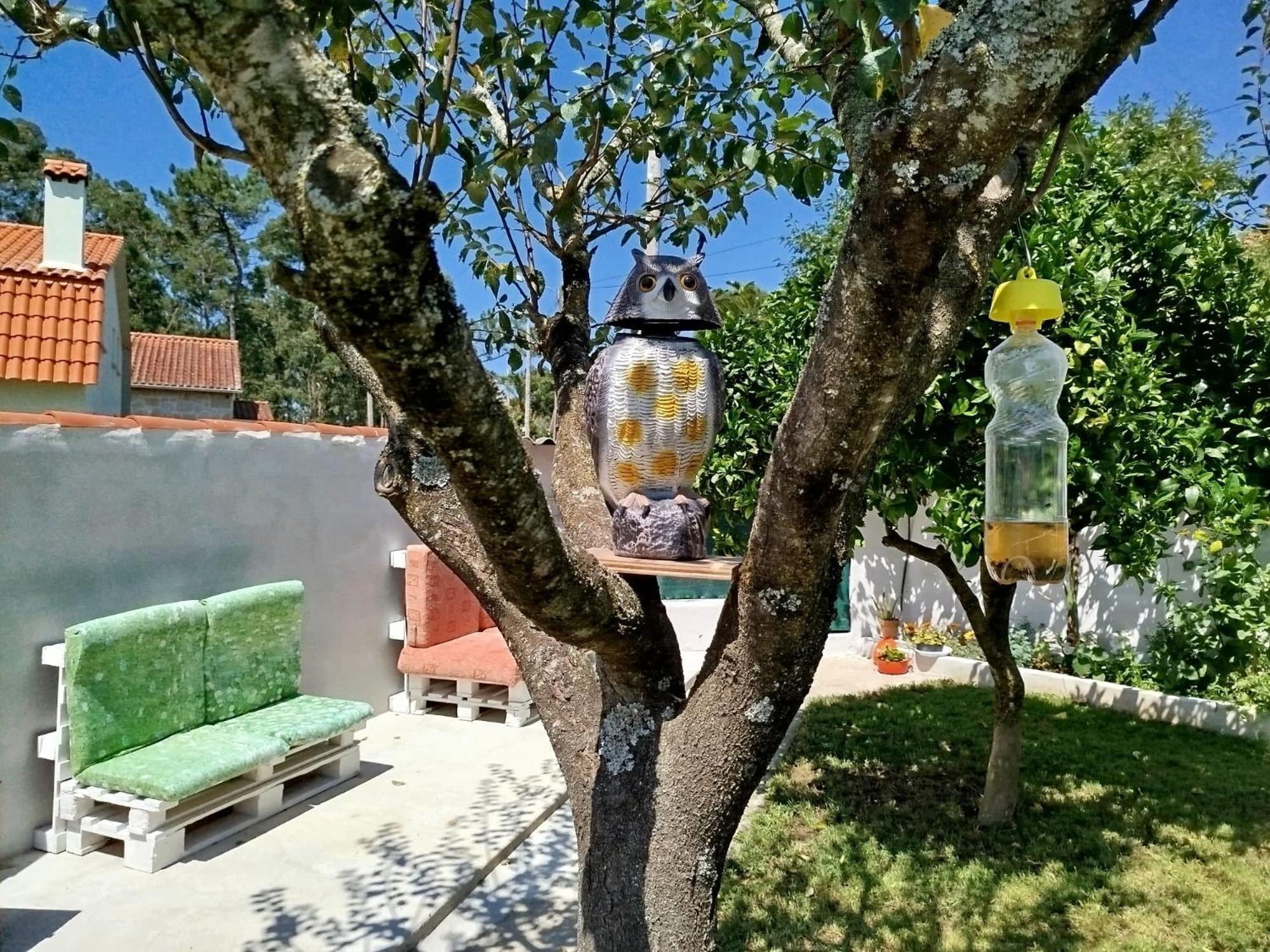 הוילה Rosal A Telleira מראה חיצוני תמונה